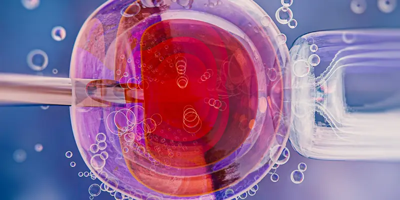 biopsia embrion