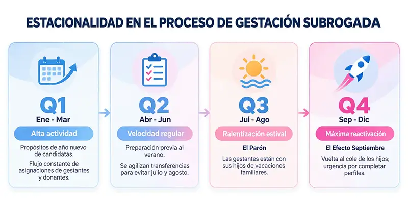 Proceso de gestación subrogada