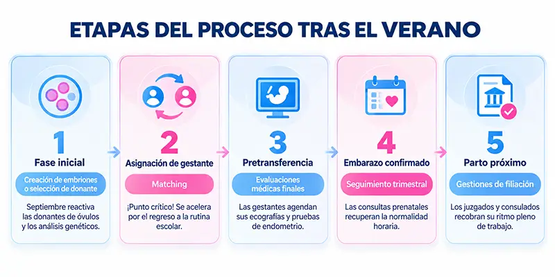 Etapas del proceso
